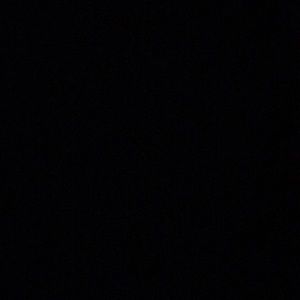 Meet your Posher, Elsa